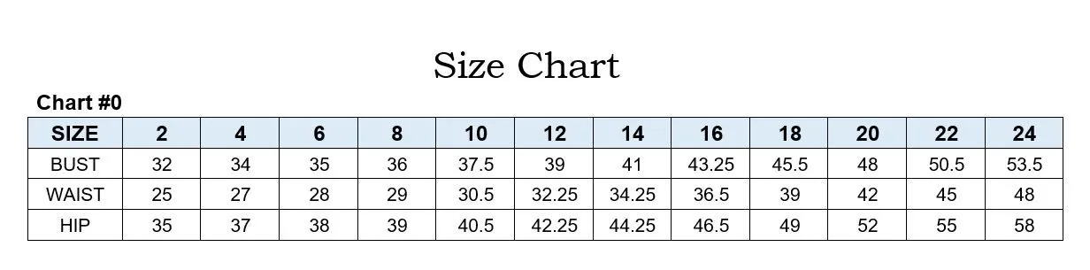 A-Line Tulle Detail V-neck Pointy Back Bodice Adorable Long Prom & Bridesmaid Dress CDCB097
