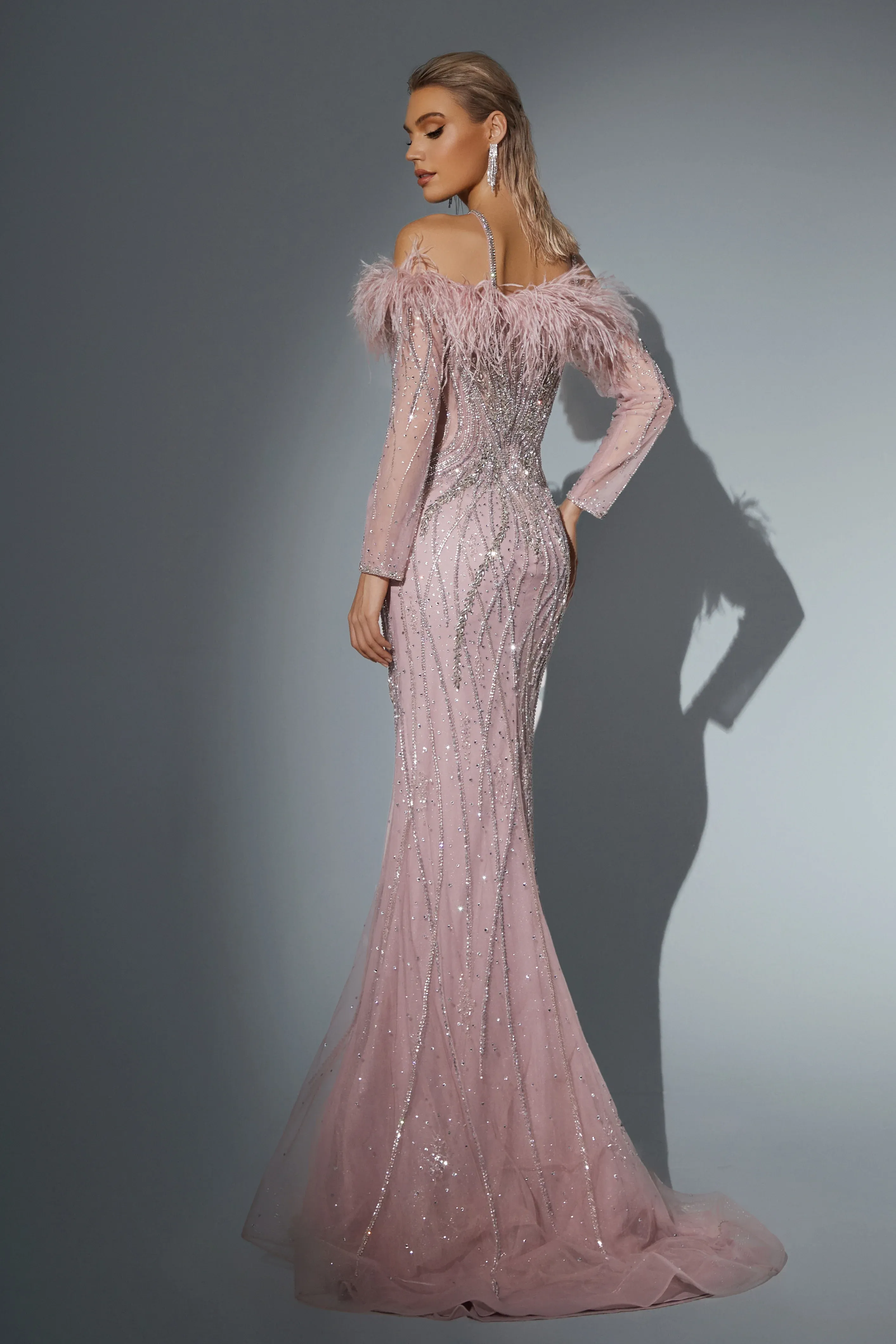 Champagne Pretty Sequin Dress with Long Sleeve - Illusion Formal Gown - Sequin and Feather Dress Plus Size