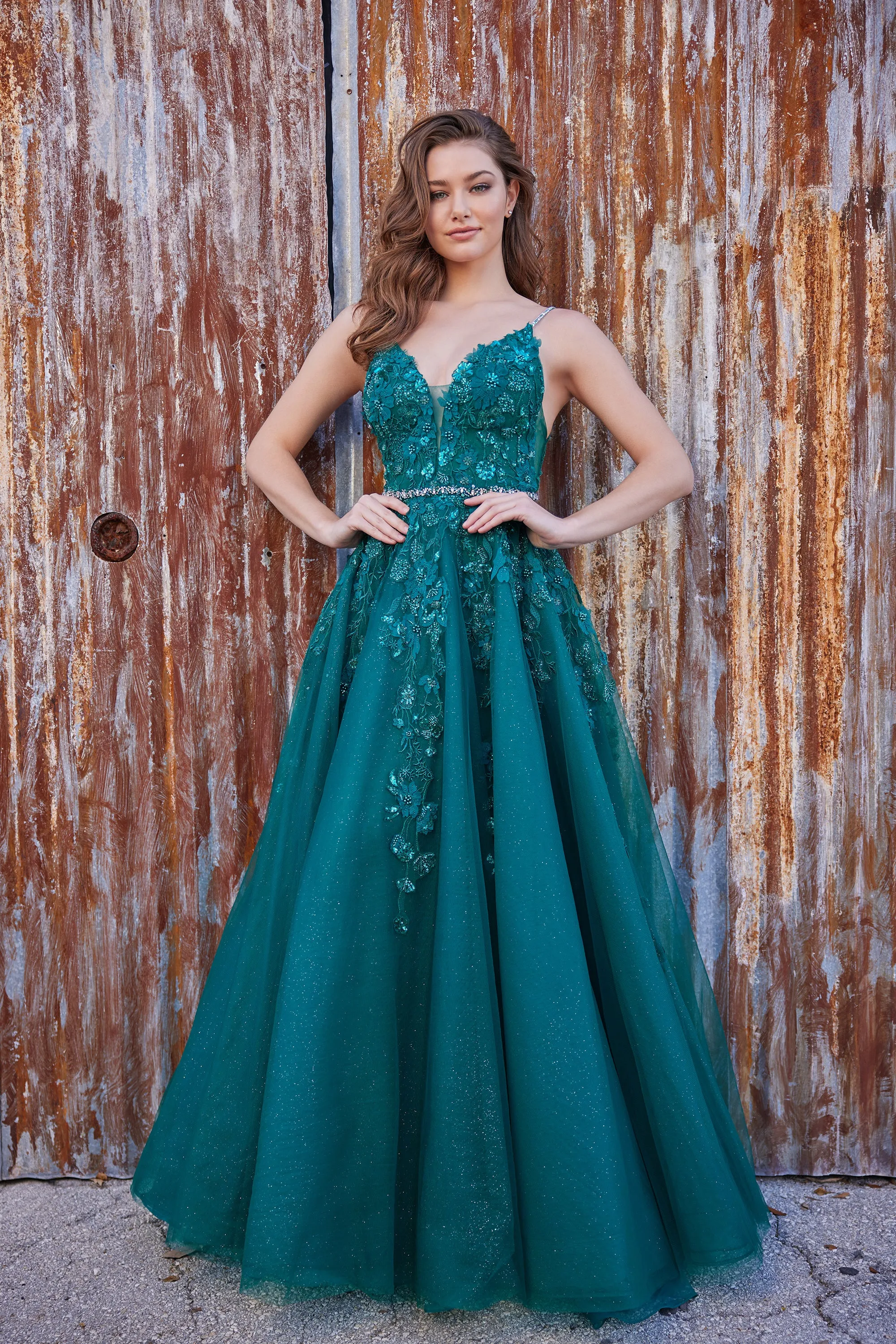 Ellie Wilde EW35113 Long Shimmer A Line Beaded Lace Formal Backless Prom Dress Bridal Wedding