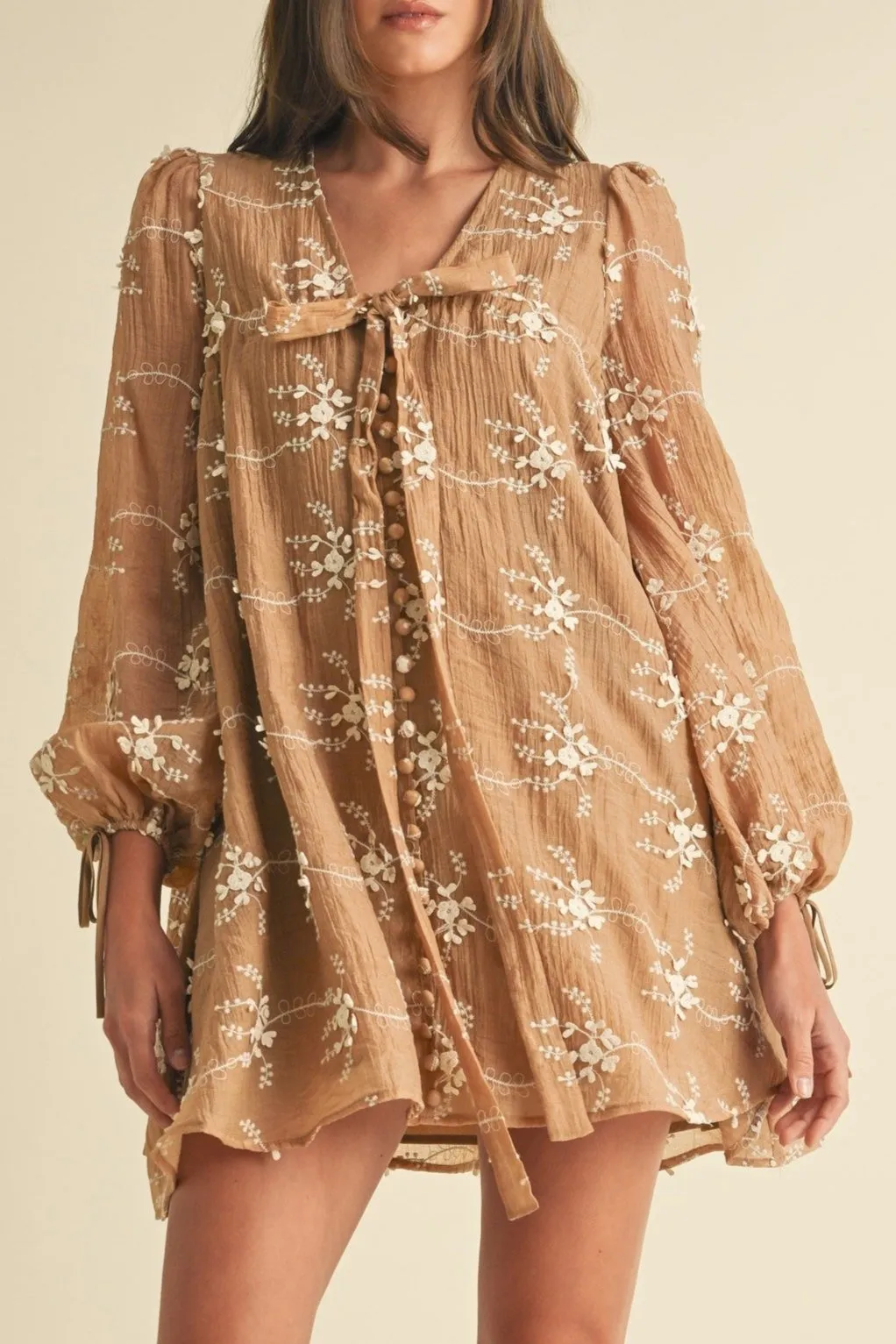Floral Embroidered Long Sleeve Mini Dress