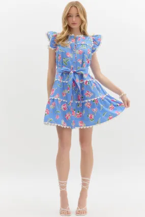 GARDNER TIERED MINI DRESS IN BLUE