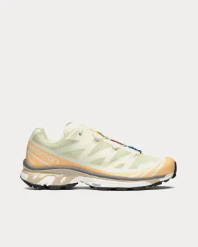 XT-6 Aloe Wash / Hazelnut / Feather Gray Low Top Sneakers